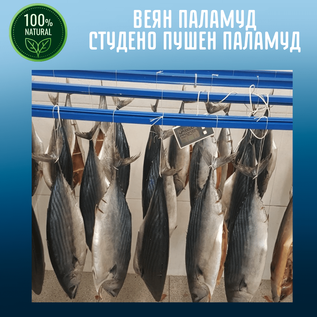 Студено - Пушен Паламуд