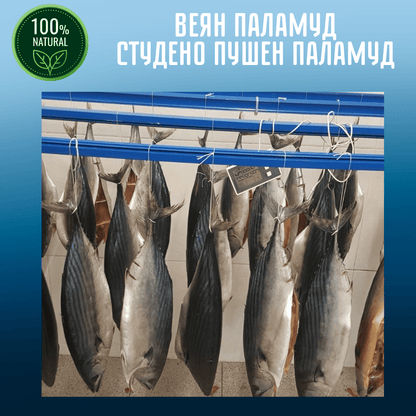 Студено - Пушен Паламуд