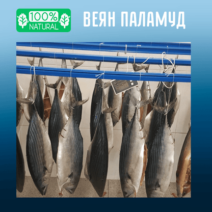 Веян Паламуд (L) - 800 грама